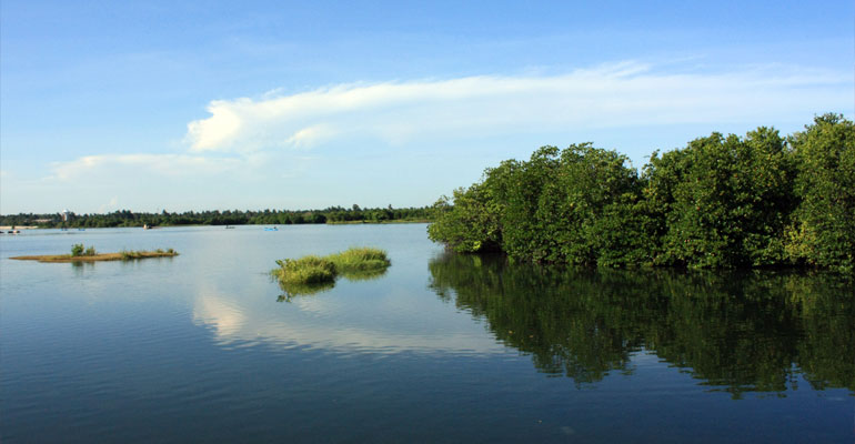 Negombo Lagoon